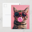 Recherche de chats roses cartes postales Pour tous