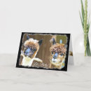 Zoek naar alpaca kaarten Humor