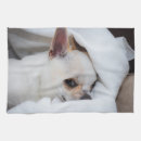Zoek naar chihuahua kitchen keuken handdoeken Schattig