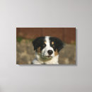 Recherche de capture impressions sur toile Chien