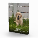 Zoek naar hond herinnering geschenken Puppy