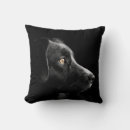 Recherche de labrador noir coussins Animaux