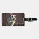 Recherche de miniature schnauzer accessoires Animal