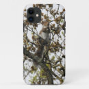 Recherche de écureuil gris iphone coques Faune