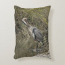 Zoek naar reiger kussens Kust