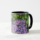 Recherche de hortensias tasses Thé