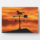 Zoek naar paarden fotoplaat Schuur