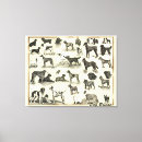 Zoek naar eng canvas prints Vintage