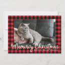 Recherche de image drôle de chat cartes postales Vacances