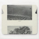 Zoek naar california muismatten Noord