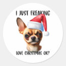 Zoek naar chihuahua Grappig chihuahua