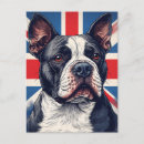 Recherche de staffordshire cartes postales Staffordshire bull terrier