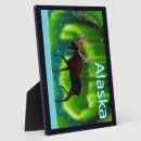 Zoek naar mos fotoplaat Vloeiend