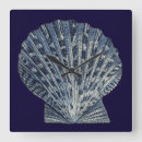 Recherche de coquilles de mer horloges Coquillages