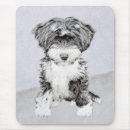 Recherche de tibétain tapis souris Dog