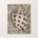 Zoek naar zeeschelpen puzzels Schelp van het zee