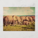Recherche de troupeau posters Cool