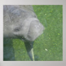 Recherche de smilie posters Sourire