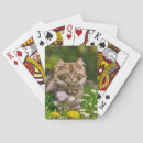 Recherche de minou jeux de cartes Animal familier