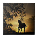 Recherche de beau cheval carreaux Chevaux