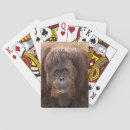 Recherche de chimpanzé jeux de cartes Faune