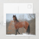 Recherche de cheval de baie cartes postales Andalucien