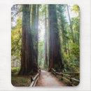 Recherche de grand arbre tapis souris Parc national