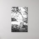 Recherche de arbre noir et blanc posters toiles Artistique