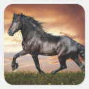 Recherche de beau cheval autocollants Chevaux