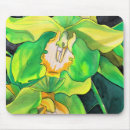 Recherche de orchidée verte tapis souris Botanique