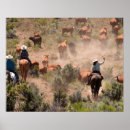 Zoek naar cowgirl kunst Wilde westen