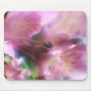 Recherche de stamens Rouge