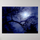 Zoek naar boom silhouet posters Blauw