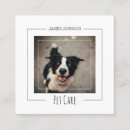 Recherche de dog visite photographie Photographe