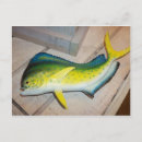 Recherche de mammifères cartes postales Aquatique