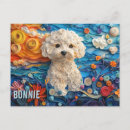Recherche de chien frise bichon cartes postales Portrait