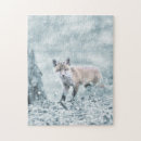 Recherche de fox puzzles Nature