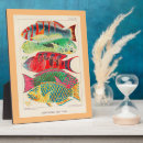 Recherche de poissons plaques Illustration