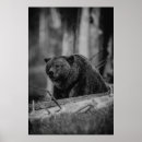Recherche de ours noirs posters Blanc noir