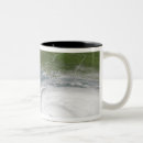 Recherche de dennis tasses Littoral