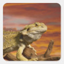 Recherche de sang autocollants Obus