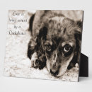 Recherche de le chiot plaques Amour