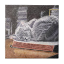 Recherche de chat dallée Dalle de chat