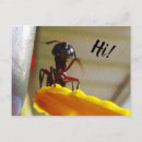 Recherche de insecte mignon posters Faune