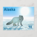 Recherche de arctique cartes postales Nature