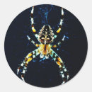 Recherche de diadèmes autocollants Pour tous