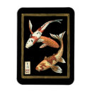 Recherche de koi Animal