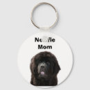 Recherche de terre neuve porteclés Newfie