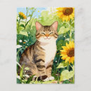 Recherche de chats tigrés cartes postales Amoureux des chats