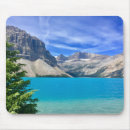 Recherche de lacs tapis souris Alberta